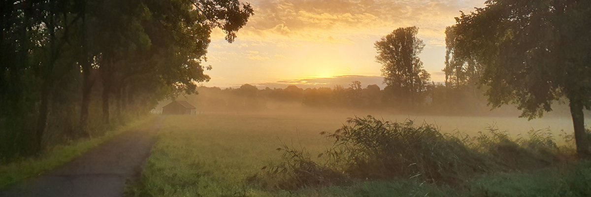 Landschaftsaufnahme nebelige Auen in Reinheim