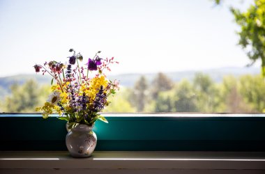Bunte Blumen in einer weißen Vase auf einer Fensterbank mit unscharfem Waldhintergrund.