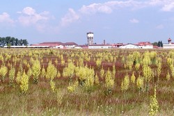 FFH-Gebiet „In den Rödern bei Babenhausen“
