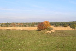 Blick auf die Sanddüne