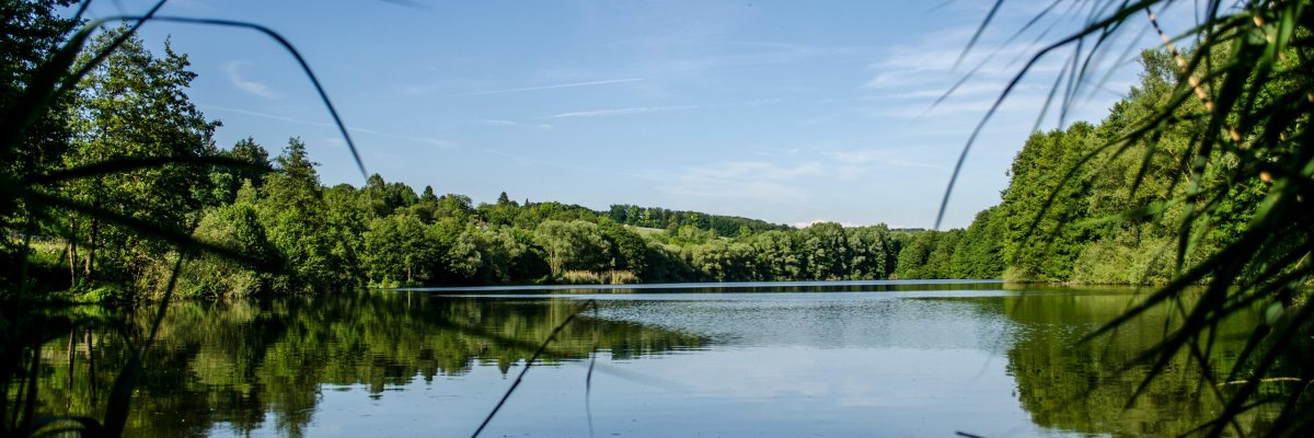 Kleiner See im Sommer