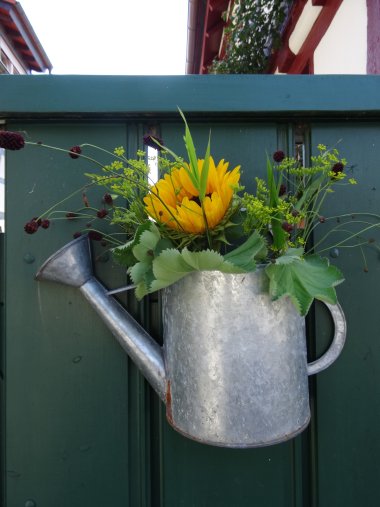 Impressionen ländlicher Raum Darmstadt-Dieburg