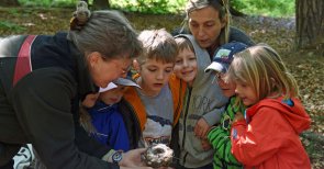 Erwachsene und mehrere Kinder sitzen im Wald auf dem Boden und betrachten gemeinsam einen Gegenstand in den Händen der Erwachsenen.
