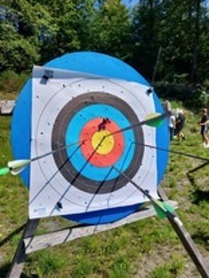 Zielscheibe mit Pfeilen