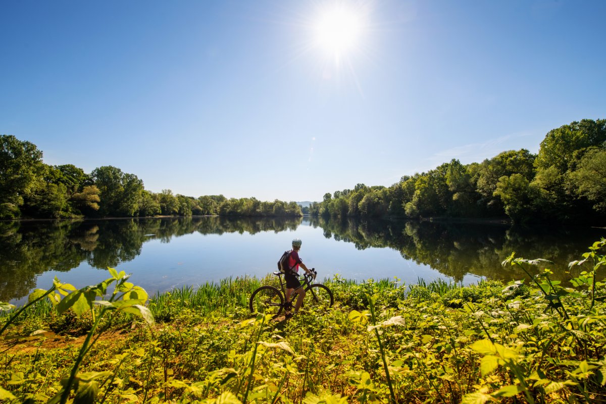 Der Erlensee in Bickenbach bei Sonnenschein