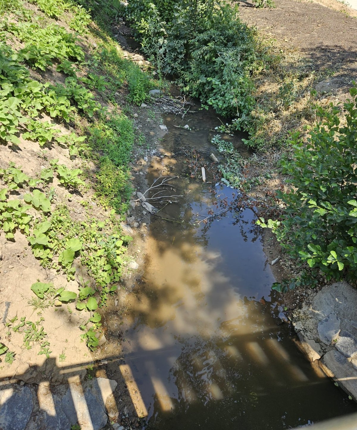 Ohlebach Groß-Umstadt Der Bachlauf wird zum Rinnsal – ein sichtbares Zeichen für den Wassermangel.