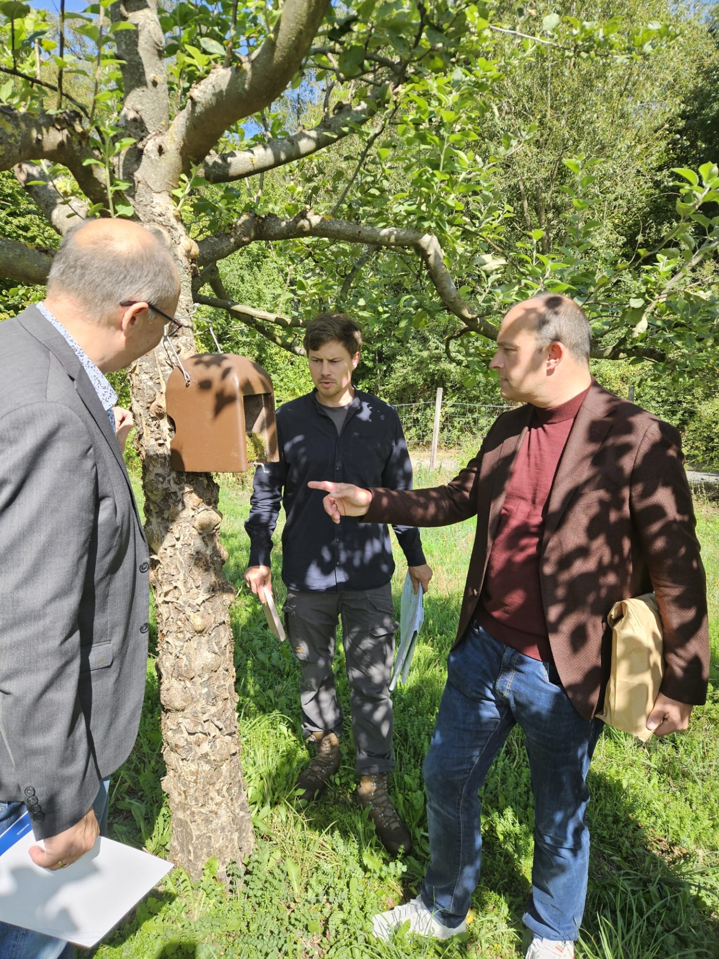 Gartenschläfer Vize-Landrat Lutz Köhler (rechts), Markus Hennemann (1. Vorsitzender LPV, links) und Marius Hüther (stellv. Geschäftsführer LPV, Mitte) begutachten einen Nistkasten auf dem Gelände des OGV Erzhausen.