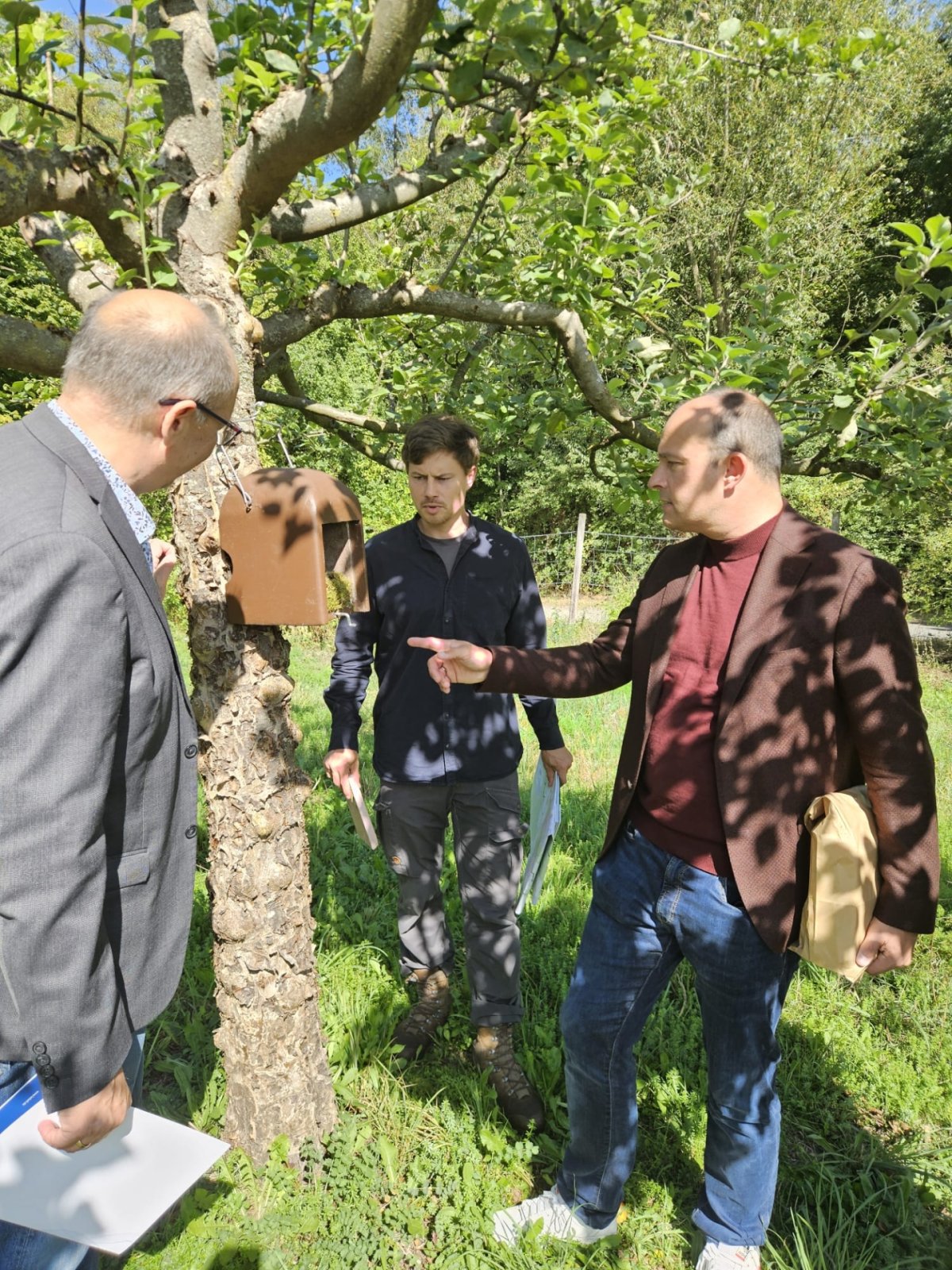 Vize-Landrat Lutz Köhler (rechts), Markus Hennemann (1. Vorsitzender LPV, links) und Marius Hüther (stellv. Geschäftsführer LPV, Mitte) begutachten einen Nistkasten auf dem Gelände des OGV Erzhausen.