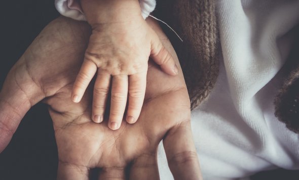 Nahaufnahme einer kleinen Babyhand, die sicher in der großen, offenen Handfläche eines Erwachsenen ruht. Dieses Bild symbolisiert die Fürsorge, Geborgenheit und Schutz.